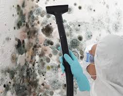 Best Mold Odor Removal Services  in Punxsutawney, PA